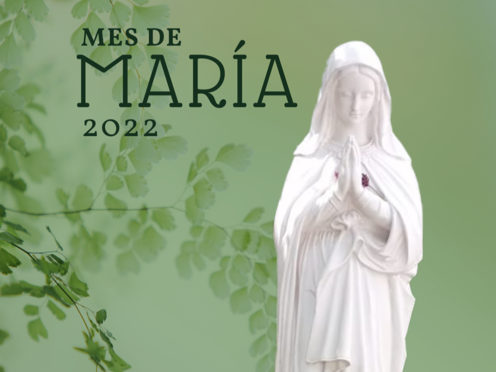 Fondo de pantalla para tu celular, en el Mes de María 2022