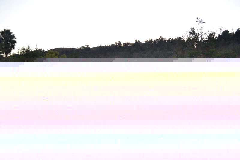 Gale54a42aef9bc63_31122014_857am.JPG